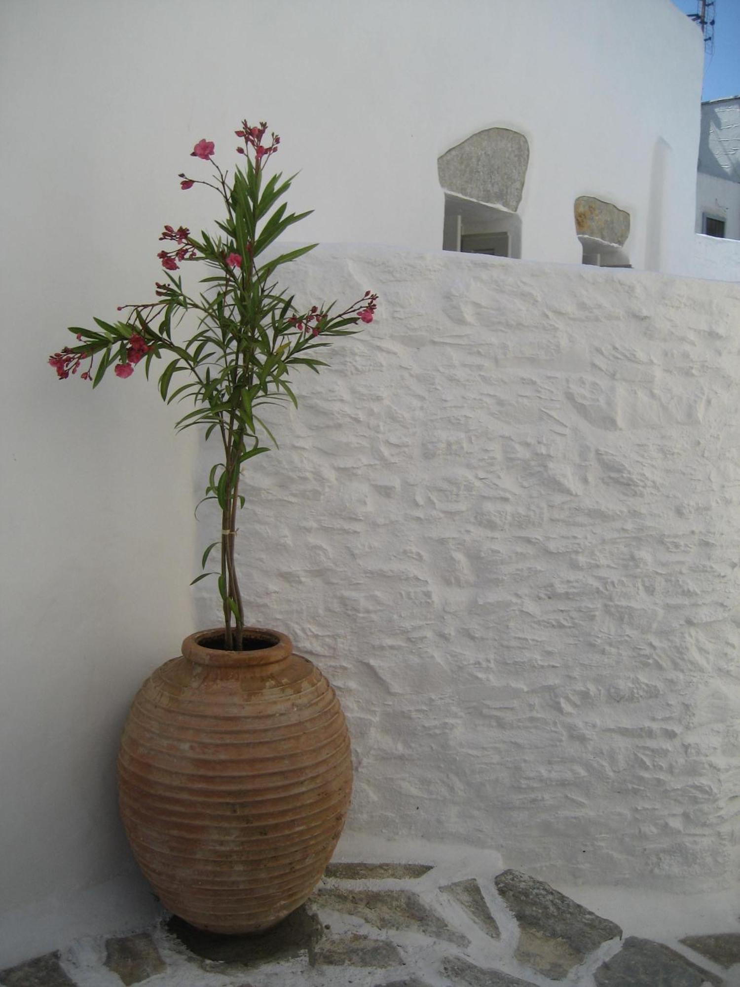 Chora Elegant Traditional House Amorgos Exterior foto